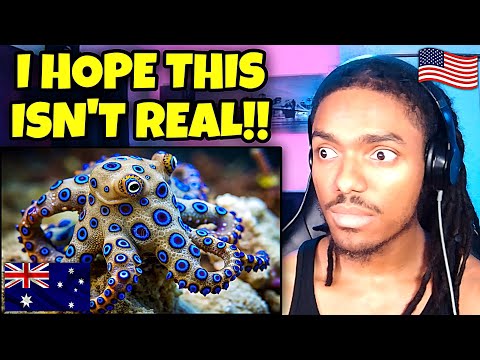 AMERICAN REACTS to The Deadliest Animals In Australia