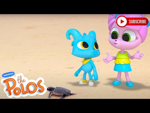 Guard that Turtle | Adventure Learning | MarcoPolo World School | Learn At Home - Kingdom Kids Zone, Little Learners - The Polos and MarcoPolo Learning