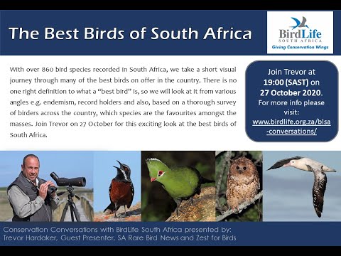 Conservation Conversations: Trevor Hardaker - Best Birds in SA (27Oct20)