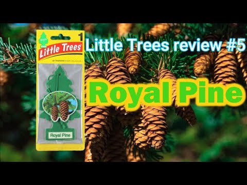 Little Trees review by Japanese #5 (Royal Pine)