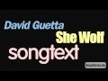 David Guetta - She Wolf feat. Sia [songtext ...