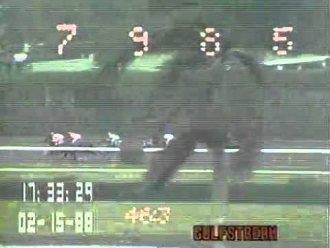 1988 Fountain of Youth Stakes   FORTY NINER