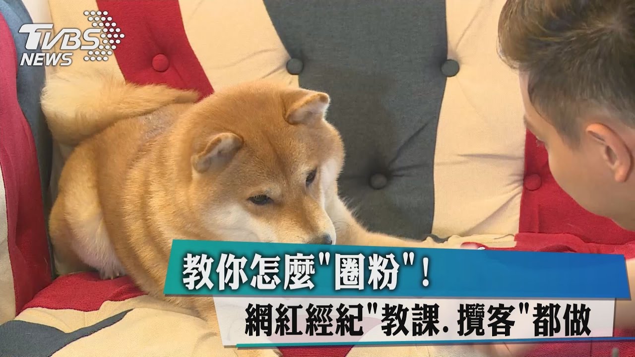 教你怎麼「圈粉」! 網紅經紀「教課、攬客」都做