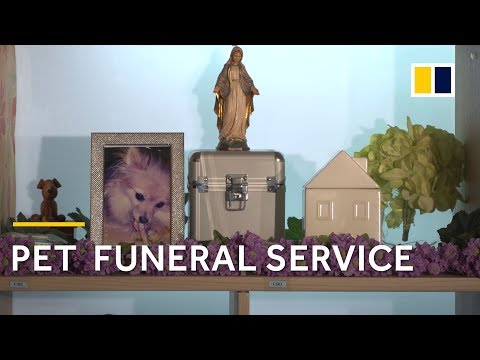 download lagu mp3 mp4 Pet Memorial Services, download lagu Pet Memorial Services gratis, unduh video klip Pet Memorial Services