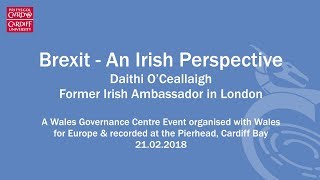 Brexit from an Irish perspective - Dáithí O’Ceallaigh
