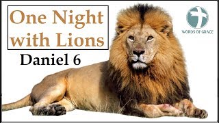 One Night With Lions