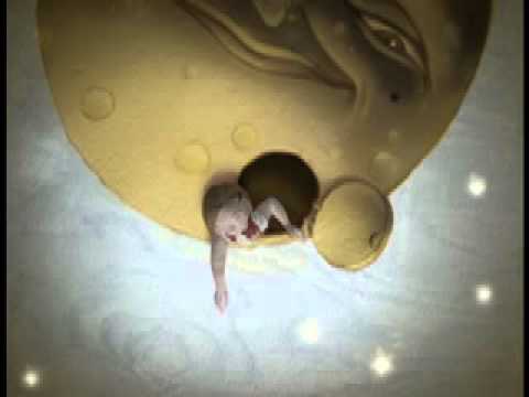 Roy Smeck Trio   Reaching for the Moon