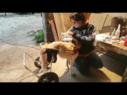 Video di MOIRA