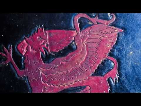 Arsule - Oiselle [Official Video]