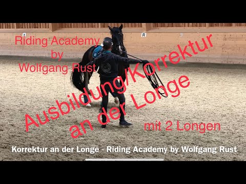 F33 Effective lunging. How to lunge your horse correctly and prepare it for riding.