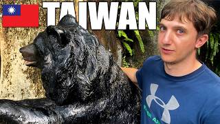 We Finally Went to the Taipei Zoo! | The Most Affordable Spot in Taiwan 🇹🇼