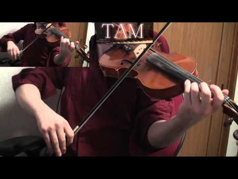 Fate/Zero OP (Full ver) [oath sign / LiSA] Violin:TAM(TAMUSIC)