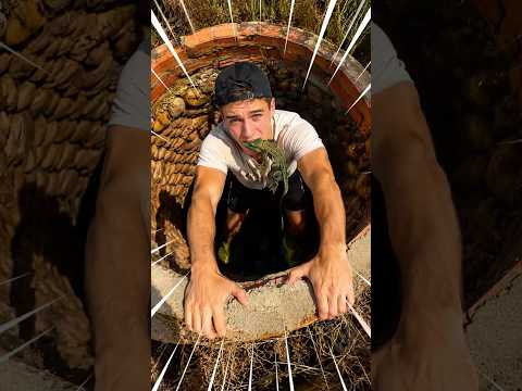 Rescaté un LAGARTO en el POZO de los PECES koi 🎏 #pesca #rescate #tonifero