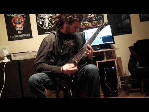 Flux Conduct - We are creating at this moment,what our tommorow will be (guitar cover)