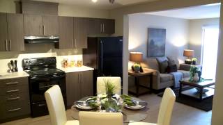 Fabulous Rental Suite Staged by Simply Irresistible Interiors 780 - 452 - 4527