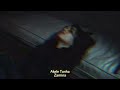 Akele Tanha Slowed Reverb Zamina