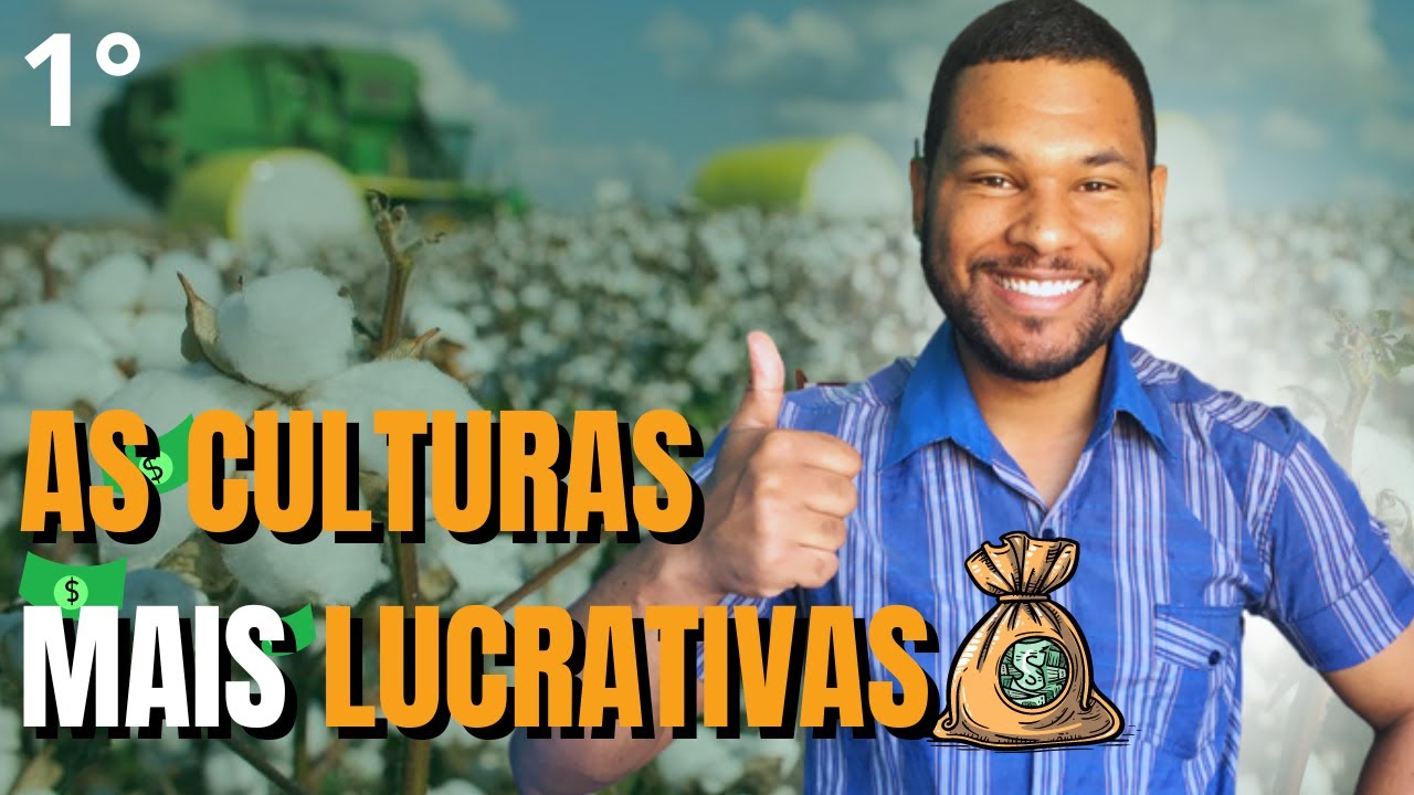 5 Cultivos que Vão Fazer Você Rico no Brasil