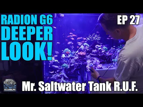 DEEPER LOOK - RADION G6 LEDs, PAR Readings - Mr Saltwater Tank -Raw, Uncut & First Impressions