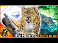 DIAMOND CARAMEL Snow Leopard At 20m TheHunter Call Of The Wild