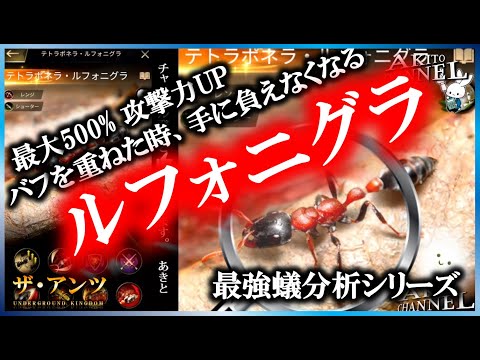 テトラポネラについて詳しく解説