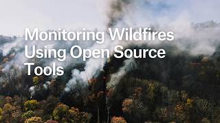 U.S. wildfires surge 77 percent by early July as spring ignites nearly 30,000 blazes
