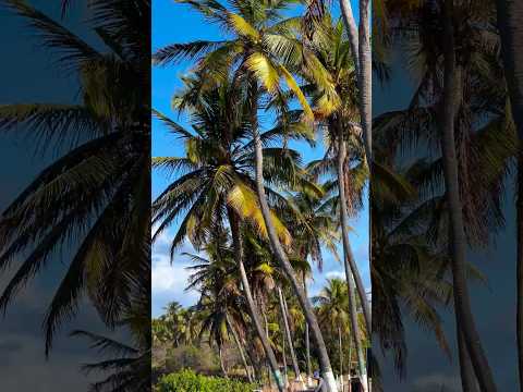 Esse destino fica no Rio Grande do Norte 🇧🇷#rotanordeste