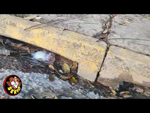BUEIROS ENTUPIDOS NO CENTRO DA CIDADE.