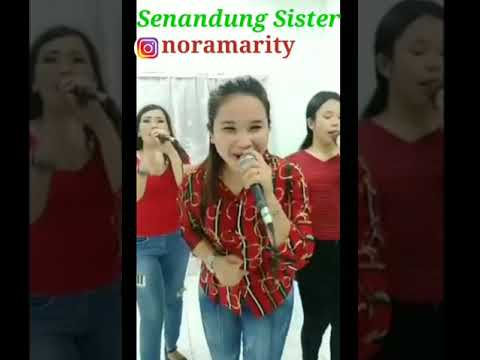 Selvia 2  { Cover, SENANDUNG SISTER }