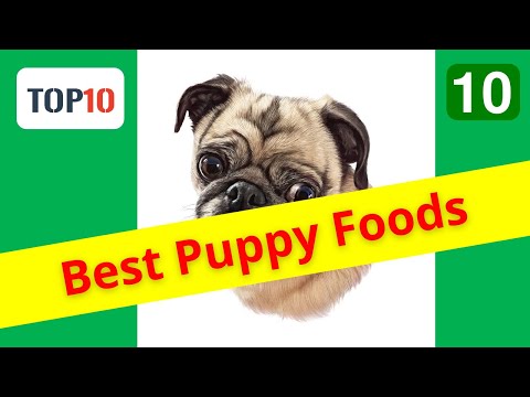 Top 10 Best Puppy Foods- Iams Smart Puppy Food(Reviews)✅Part 10