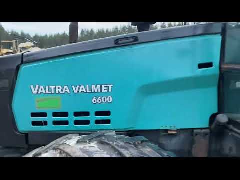 Videoklipp