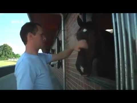 Christian Ahlmann hofft auf Olympische Spiele 2012