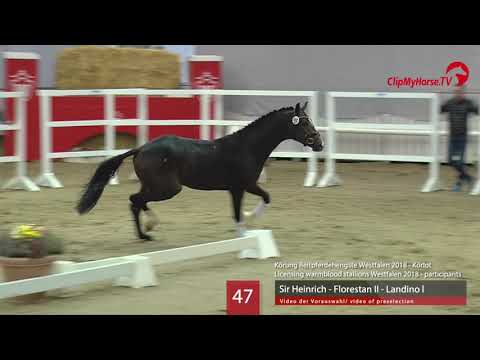 47 Hengst v. Sir Heinrich - Florestan II - Landino I
