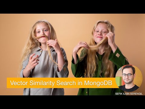 Vector Similarity Search in MongoDB