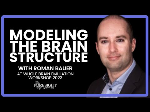 Roman Bauer |  Modeling the Brain Structure @ Whole Brain Emulation Workshop 2023