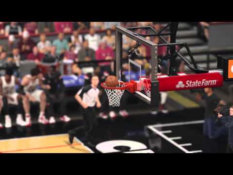 chicago Bulls McDermott Alley Opp