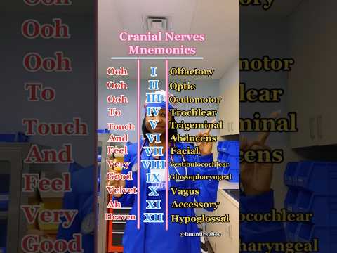 12 Cranial Nerves Mnemonics #studentnurse #nursingschool #cranialnerve #cranialnerveexam #nclexrn