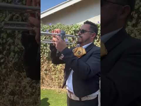Promotional video thumbnail 6 for Mariachi 3 Generations