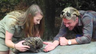 Bindi takes Derek on a tour of Australia Zoo!