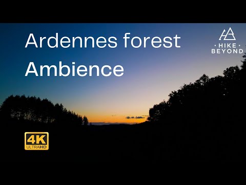 4k Ardennes forest & outdoor ambience in Belgium. Beautiful sceneries in the last days of summer!