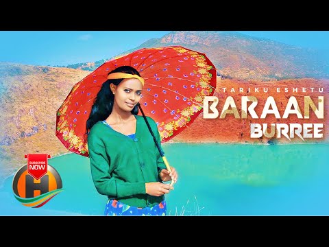 Taarikuu Asheetuu - Baraan Burree - New Ethiopian Oromo  Music 2022 (Official Video)