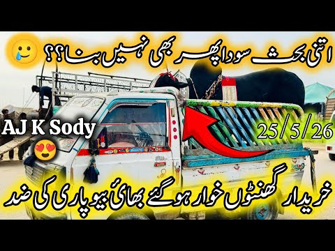 Northern Bypass Mandi Karachi Latest Rates Update | 25 May 2026 | Cow Mandi Karachi | Qurbani 2026. 