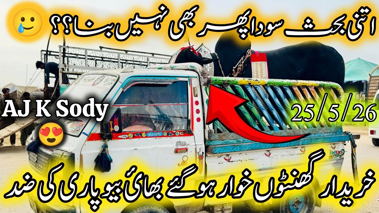 Northern Bypass Mandi Karachi Latest Rates Update | 25 May 2026 | Cow Mandi Karachi | Qurbani 2026.