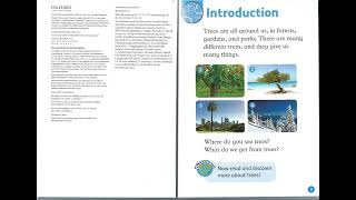 Introduction - 1. What is a tree