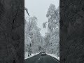 Chasing Snowflakes ️ Nature Snow Snowfall Flakes Winter