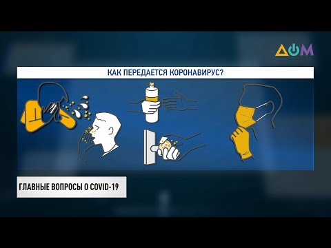 Мифы и факты о COVID-19 | Вирус перемен