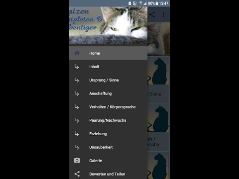 Katzen Samtpfoten&Stubentiger Video