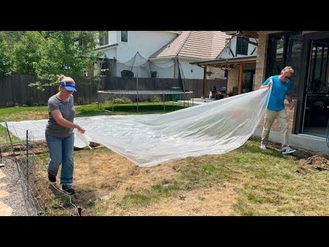 Solarizing grass in your yard