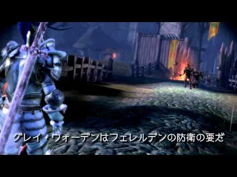 Dragon Age: Origins-Awakening