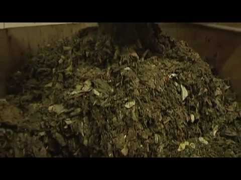 20090330 fritz klein