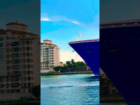 Thumbnail for Carnival Celebration 🛳️ #share #like #subscribe #comment #cruise #vacation #shortvideo #shortsvideo